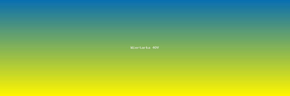 Wiertarka 40V